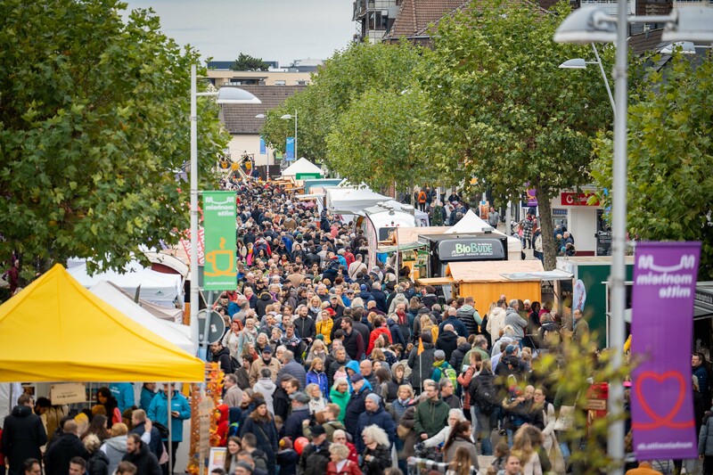 Monheimer Martinsmarkt